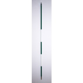 Green/White Stripe Stick